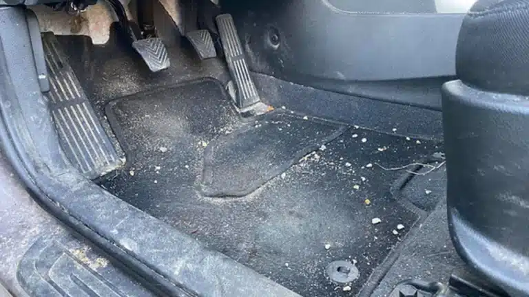 1195ae_2ae2f2751471404c9a3c984c5b1799eb_mv2