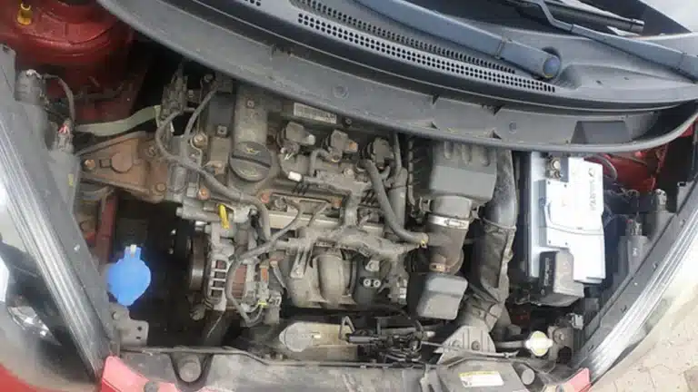 1195ae_3186ce97d21b4458bd807381d5ed1fc7_mv2