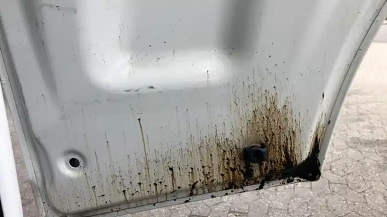 1195ae_526f7c2315af47e2bf05b61c316bdb1b_mv2