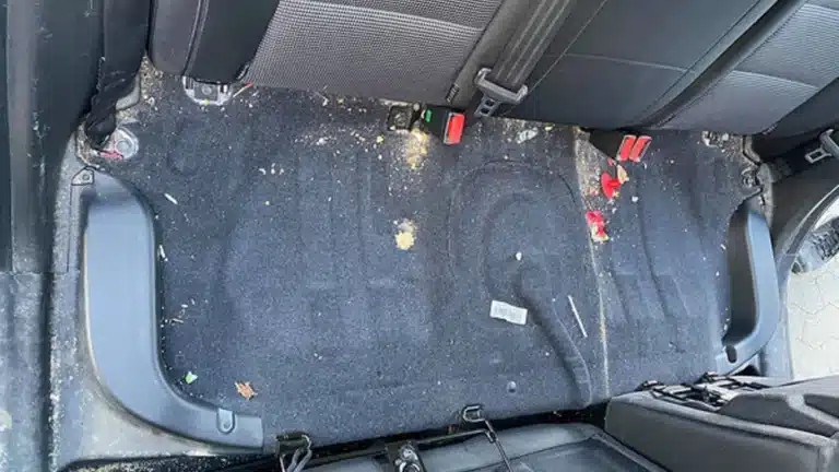 1195ae_e995f217202547d8afc74c42d83de392_mv2